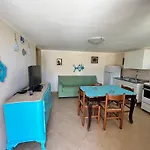 Nuovo Aliru *