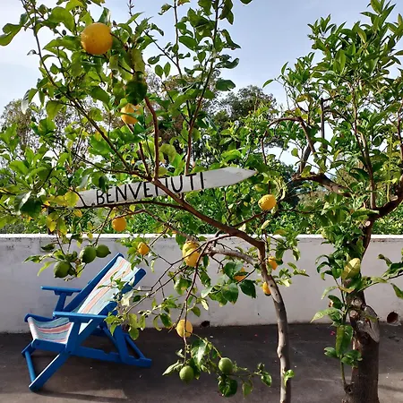 Nuovo Aliru * Campofelice Di Roccella
